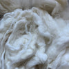 Washed Raw Fiber BABY ALPACA - White from "SEDA"  4 oz