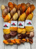 AUTUMN™ -  Hand Painted - Multiple Yarn Weights  -  RTS