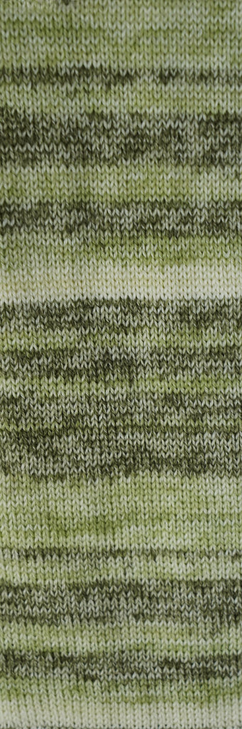 CASCADE Heritage Prints Sock Yarn Self Striping - 107 - Fern