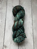 CASCADE 220 Superwash Merino Hand Paints (Worsted) - 1002 - Mossy Rock
