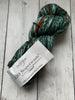 CASCADE 220 Superwash Merino Hand Paints (Worsted) - 1002 - Mossy Rock