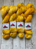 HERE COMES THE SUN HandPainted Speckled MULTIPLE BASES - RTS