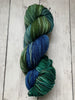 CASCADE 220 Superwash Merino Hand Paints (Worsted) - 1003 - Mythical Forest