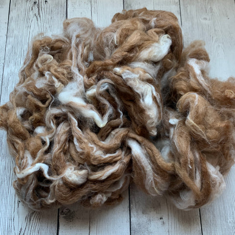 Washed Raw Fiber BABY ALPACA - Appaloosa (fawn and white)  from "PEACHES & CREAM"  4 oz