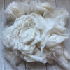 Washed Raw Fiber BABY ALPACA - White from "SEDA"  4 oz